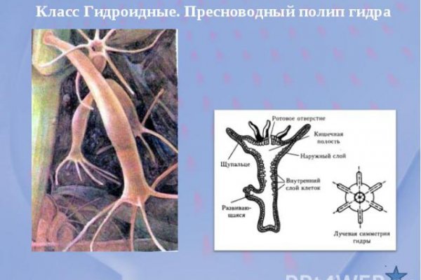 Кракен рабочее на сегодня сайт